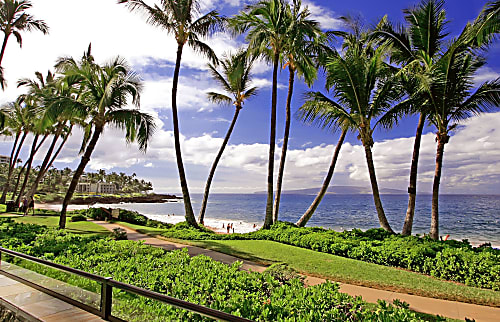 Wailea Elua 1507