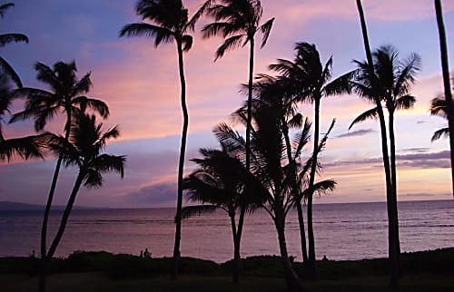 Hale Kai O Kihei 203