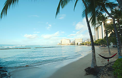 25th Floor Kuhio Avenue