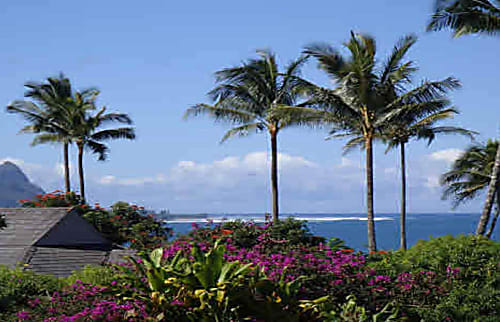 Hale Moi, Princeville, Kauai