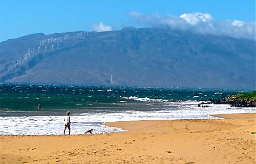 Kihei Kai Nani Condo Near Kamaole Beach II