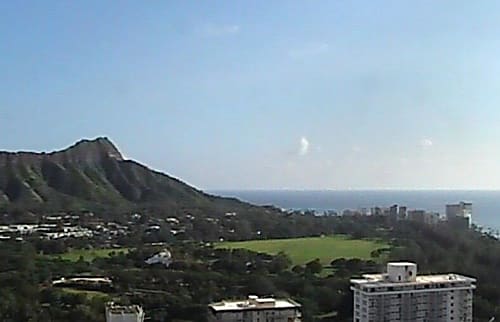 Waikiki Banyan 3613