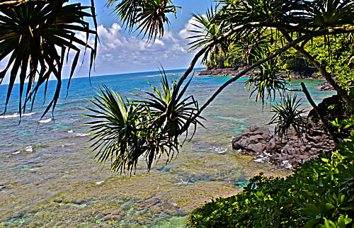 Kaulana Naue by Tunnels Beach 