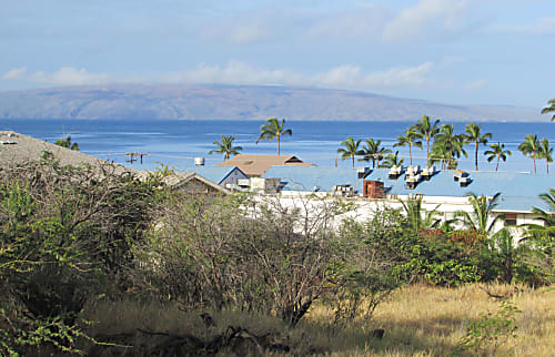 Kihei Alii Kai D206