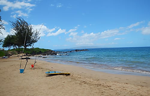 Maui Banyan Rental