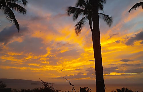 Kihei Bay Surf 242