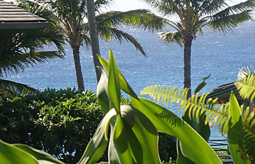 The Makahuena at Poipu Condo