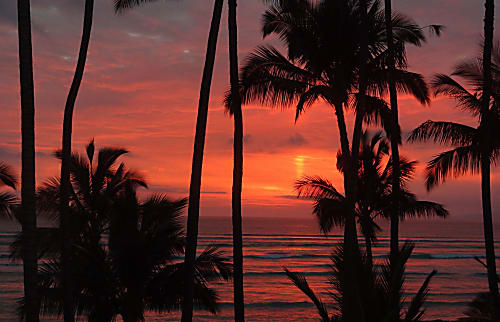 Hale Kai O'Kihei Condo