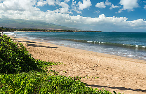 Kihei Sands A6