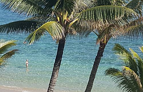 Beachfront White Sand Oasis 