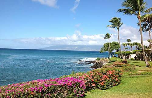 Napili Point Resort A16