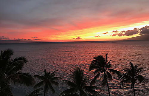 Maui Magic