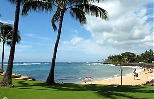 Kuhio Shores 301