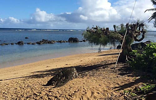 Punana Aloha