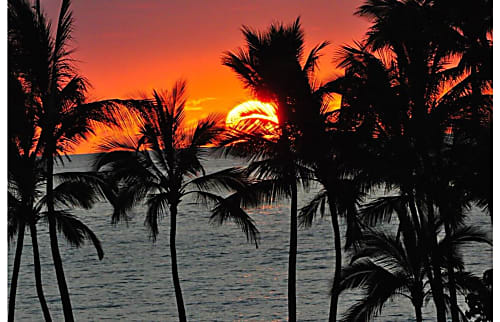 The Palms at Wailea 207