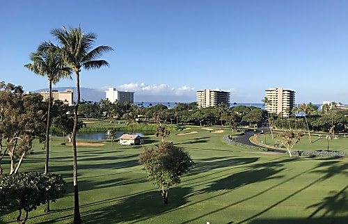 Kaanapali Royal M301