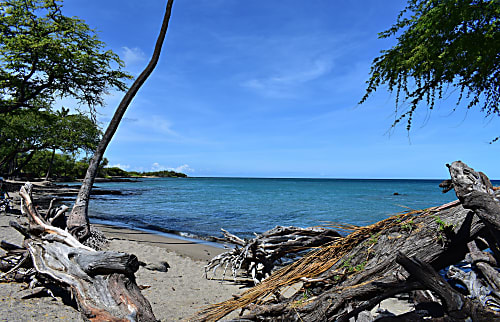 Shores at Waikoloa 206