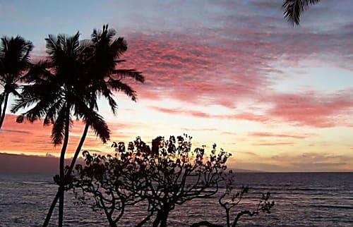 Kahana Reef Oceanfront Condo 