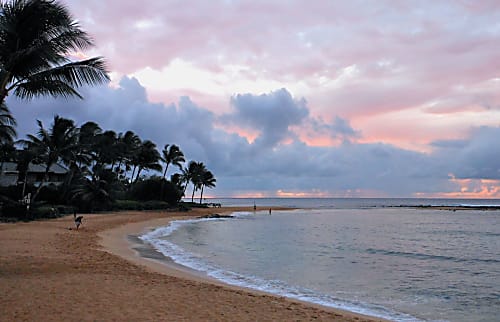 Hale Ohana Aloha At Poipu Kai