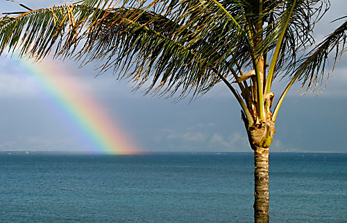 Kihei Alii Kai rental condo