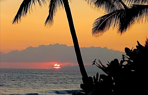 Hale Kekaha Palms Ocean Front