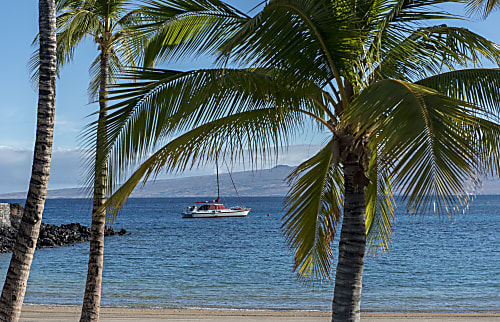 Mauna Lani Terrace Condominium