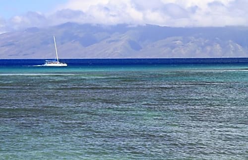 Kahana Reef 220