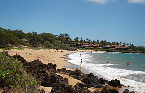 Maui Banyan G building