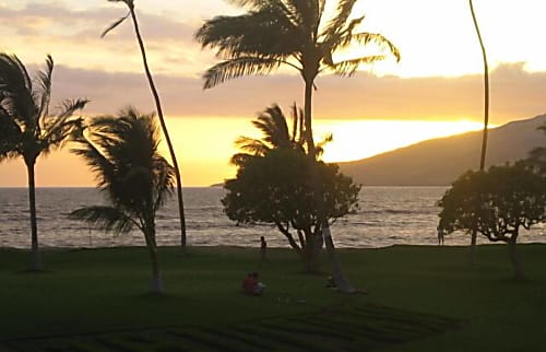 Maui Sunset B222 Oceanfront Condo