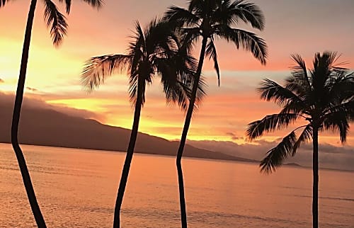 Ma'alaea Banyans with Haleakala Views