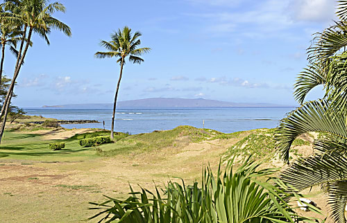 Aloha Villas # 4