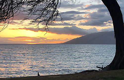 Kihei Kai Nani Condo Retreat