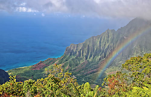 Waimea Beach Cottage