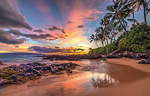 The Palms at Wailea 1304