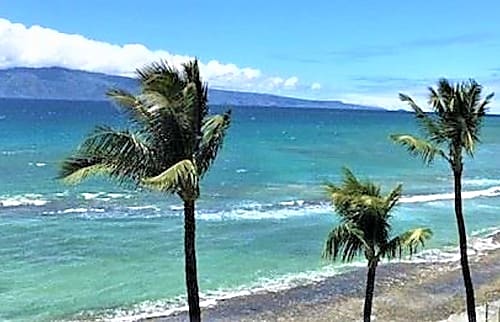 The Hawaiian Penthouse