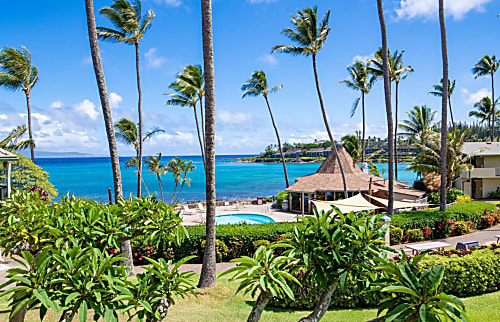 Napili Shores Resort H266