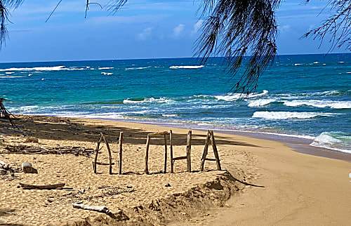 Hawaiian Chic Crater Retreat