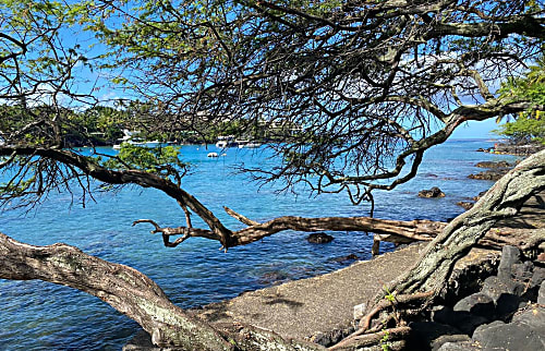 Keauhou Punahele Unit