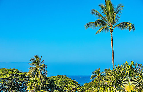 Palms at Wailea 2206