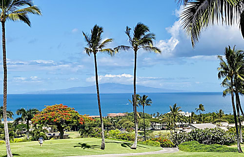 Wailea Ekolu 1508