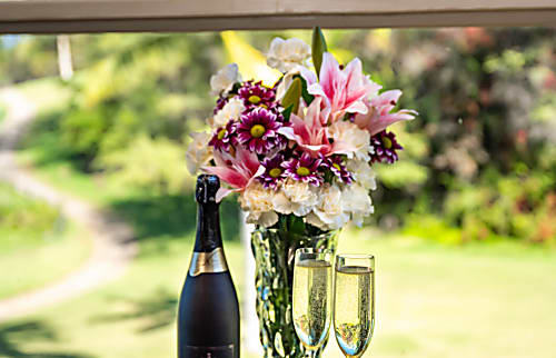 Wailea Grand Champion Unit #94