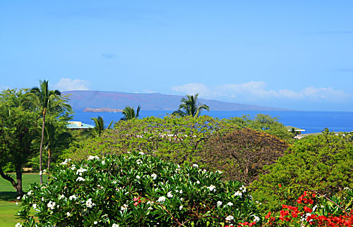 Wailea Ekolu 1 Bedroom