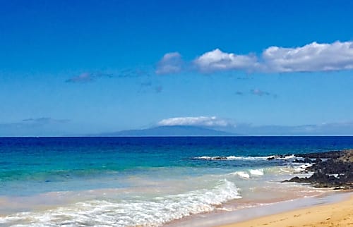 Pacific Shores rental condo