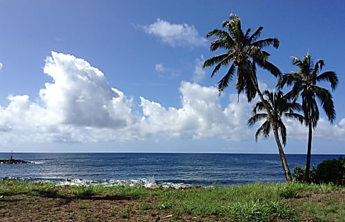 Islander on the Beach 145