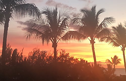 Maui Banyan H building