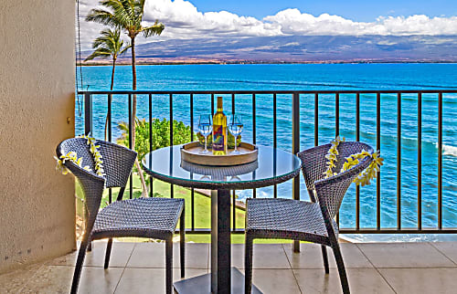 Today...Tonight...Turtles...Turtles...Turtles!
