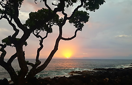 Kona Isle rental condo