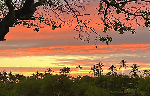 Fairways at Mauna Lani Rental