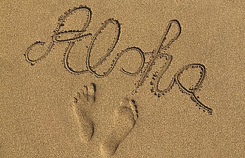 Emmalani Ct. 2 Bedroom