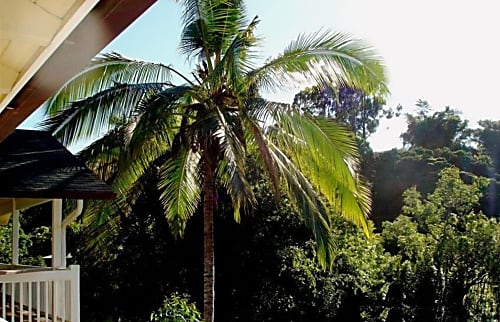 Bamboo Valley Inn 2BR Suite